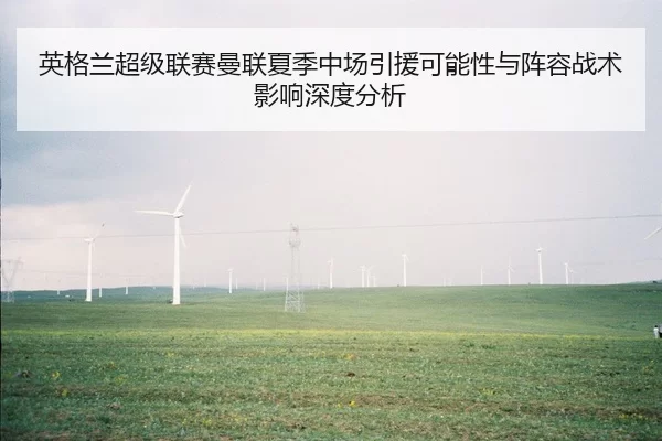 英格兰超级联赛曼联夏季中场引援可能性与阵容战术影响深度分析
